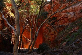 Outback Australia Photos